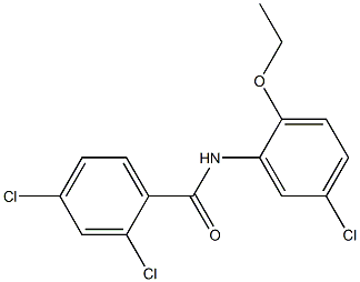 2,4-dichloro-N-(5-chloro-2-ethoxyphenyl)benzamide Structure