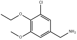 (3-chloro-4-ethoxy-5-methoxyphenyl)methanamine|(3-氯-4-乙氧基-5-甲氧苯基)甲胺