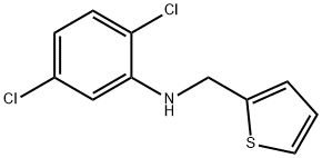 2,5-dichloro-N-(thiophen-2-ylmethyl)aniline Structure