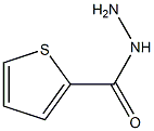  2-噻吩羧酰肼