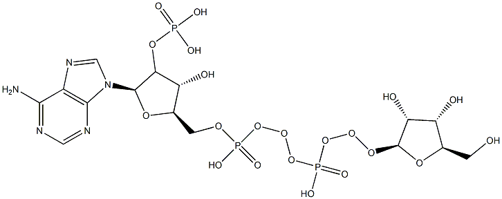 [(2R,3R,4R,5R)-2-(6-aminopurin-9-yl)-5-[[[[(2S,3R,4S,5R)-3,4-dihydroxy-5-(hydroxymethyl)oxolan-2-yl]oxy-hydroxy-phosphoryl]oxy-hydroxy-phosphoryl]oxymethyl]-4-hydroxy-oxolan-3-yl]oxyphosphonic acid