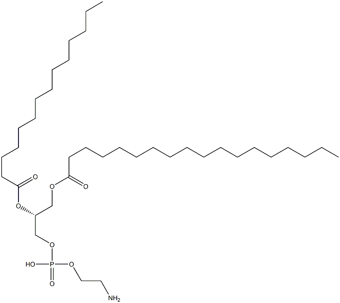 1-octadecanoyl-2-tetradecanoyl-sn-glycero-3-phosphoethanolamine|