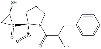 Cyclo-(S-2-mercaptopropionyl-S-phenylalanyl-S-prolyl) Structure