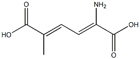 2-amino-5-methylmuconic acid 结构式