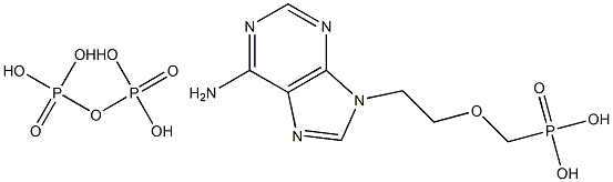 9-(2-(phosphonomethoxy)ethyl)adenine diphosphate Structure