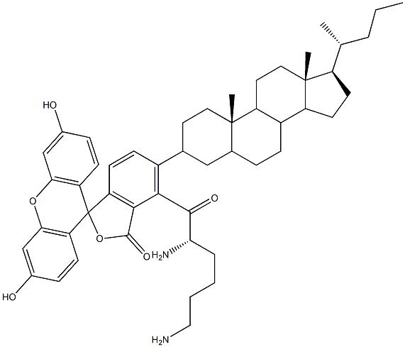 cholyl-lysylfluorescein|