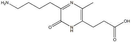 3-(4-aminobutyl)-6-carboxyethyl-5-methyl-2(1H)-pyrazinone|