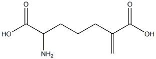 2-amino-6-methylenepimelic acid