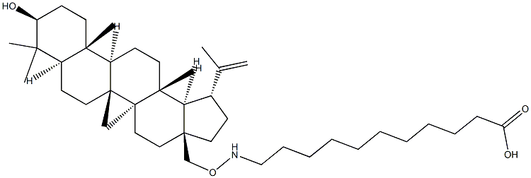 betulinylaminoundecanoic acid