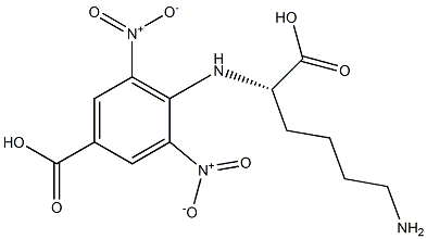 4-carboxy-2,6-dinitrophenyllysine 化学構造式