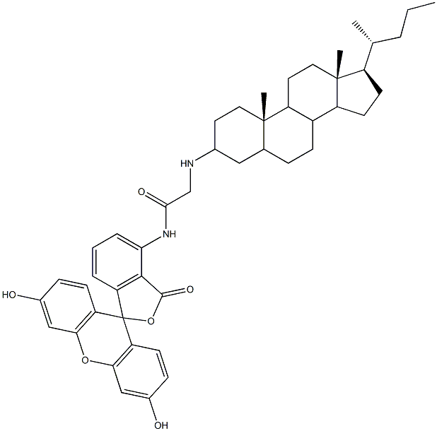 cholylglycylamidofluorescein