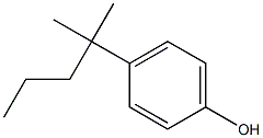  PARA-TERT-HEXYLPHENOL