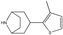 3-(3-methylthiophen-2-yl)-8-azabicyclo[3.2.1]octane 结构式
