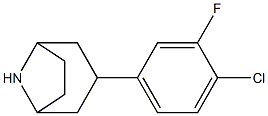 3-(4-chloro-3-fluorophenyl)-8-azabicyclo[3.2.1]octane 结构式