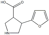 4-(2-FURANYL)-PYRROLIDINE-3-CARBOXYLIC ACID