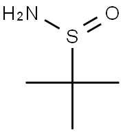 2-Methylpropane-2-sulfinamide|2-甲丙基-2-硫胺