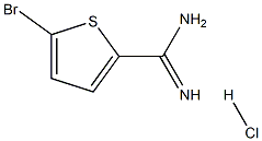 5-Bromo-thiophene-2-carboxamidine HCl