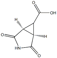 cis-2,4-Dioxo-3-aza-bicyclo[3.1.0]hexane-6-carboxylic acid,,结构式