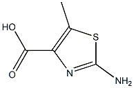 2-amino-5-methyl-1,3-thiazole-4-carboxylic acid 化学構造式