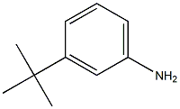 3-tert-Butyl-phenylamine