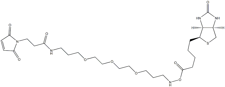 N-(3-(2-(2-(3-(Biotinamino)propoxy)ethoxy)ethoxy)propyl)-3-maleinimidylpropanamide 结构式