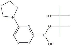 6-(PYRROLIDIN-1-YL)PYRIDINE-2-BORONIC ACID PINACOL ESTER 结构式