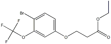 3-(4-BROMO-3-TRIFLUOROMETHOXY-PHENOXY)-PROPIONIC ACID ETHYL ESTER,,结构式