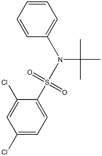 N-(tert-butyl)-2,4-dichloro-N-phenylbenzenesulfonamide,,结构式