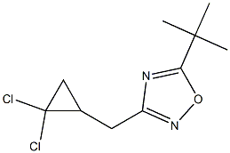 5-(tert-butyl)-3-[(2,2-dichlorocyclopropyl)methyl]-1,2,4-oxadiazole