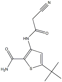 5-(tert-butyl)-3-[(2-cyanoacetyl)amino]thiophene-2-carboxamide,,结构式
