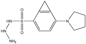 N1-hydrazino(tetrahydro-1H-pyrrol-1-yl)methylidenebenzene-1-sulfonamide,,结构式