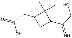  2-[3-(hydroxyethanimidoyl)-2,2-dimethylcyclobutyl]acetic acid