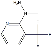 1-(3-(trifluoromethyl)pyridin-2-yl)-1-methylhydrazine 化学構造式