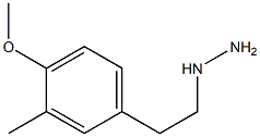 1-(4-methoxy-3-methylphenethyl)hydrazine Structure