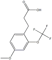 3-(4-methoxy-2-(trifluoromethoxy)phenyl)propanoic acid,,结构式