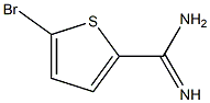 5-bromothiophene-2-carboxamidine Structure