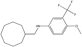 N-(cyclooctylmethyl)-3-(trifluoromethyl)-4-methoxybenzenamine 化学構造式