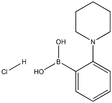 2-(Piperdino)phenylboronic acid HCl Structure