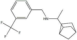 (1-{bicyclo[2.2.1]heptan-2-yl}ethyl)({[3-(trifluoromethyl)phenyl]methyl})amine|