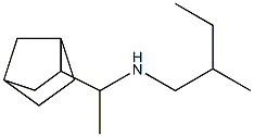 (1-{bicyclo[2.2.1]heptan-2-yl}ethyl)(2-methylbutyl)amine