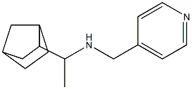 (1-{bicyclo[2.2.1]heptan-2-yl}ethyl)(pyridin-4-ylmethyl)amine Structure