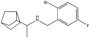 (1-{bicyclo[2.2.1]heptan-2-yl}ethyl)[(2-bromo-5-fluorophenyl)methyl]amine