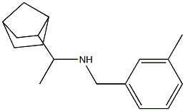 (1-{bicyclo[2.2.1]heptan-2-yl}ethyl)[(3-methylphenyl)methyl]amine Structure