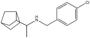  (1-{bicyclo[2.2.1]heptan-2-yl}ethyl)[(4-chlorophenyl)methyl]amine