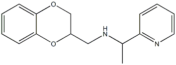 (2,3-dihydro-1,4-benzodioxin-2-ylmethyl)[1-(pyridin-2-yl)ethyl]amine,,结构式