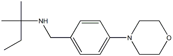 (2-methylbutan-2-yl)({[4-(morpholin-4-yl)phenyl]methyl})amine 结构式