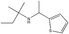  (2-methylbutan-2-yl)[1-(thiophen-2-yl)ethyl]amine