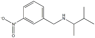 (3-methylbutan-2-yl)[(3-nitrophenyl)methyl]amine 结构式