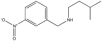 (3-methylbutyl)[(3-nitrophenyl)methyl]amine,,结构式