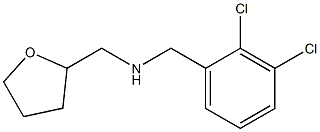 [(2,3-dichlorophenyl)methyl](oxolan-2-ylmethyl)amine Struktur